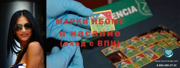 шишки Богородск