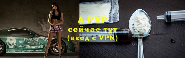 spice Богданович