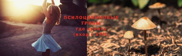 spice Богданович