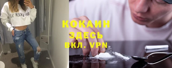 шишки Богородск