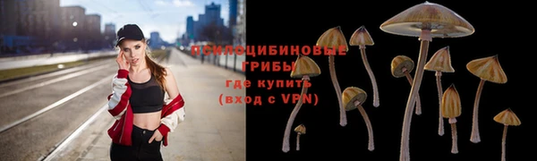шишки Богородск