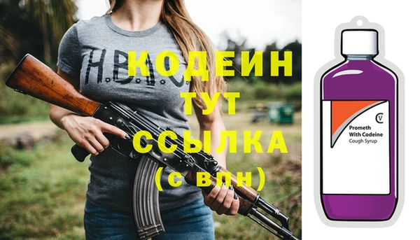 шишки Богородск
