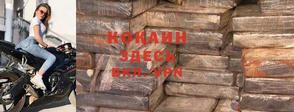 шишки Богородск