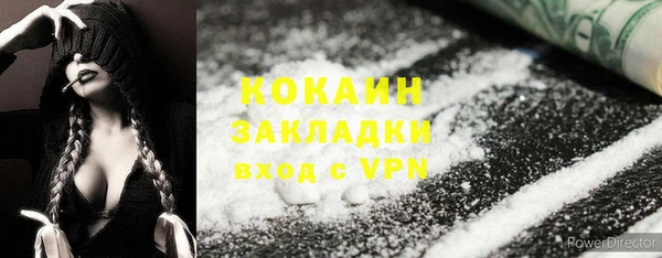 шишки Богородск
