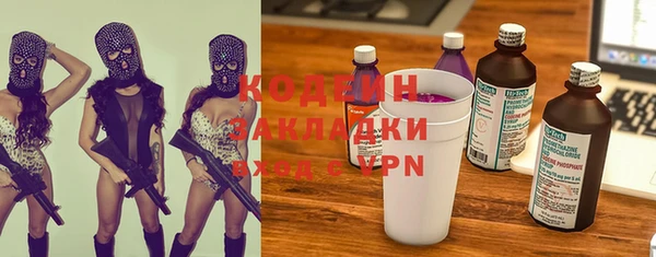 шишки Богородск